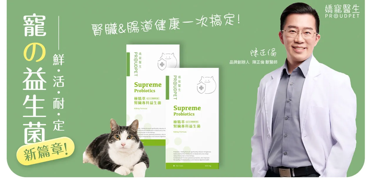 部落客行銷