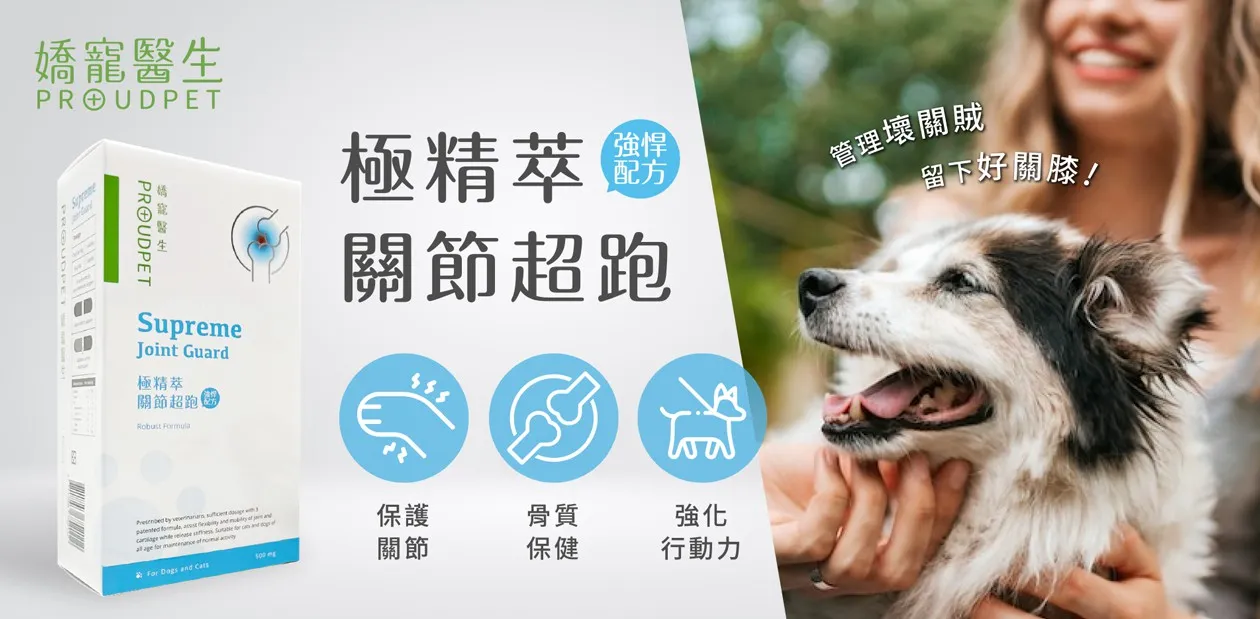 部落客行銷
