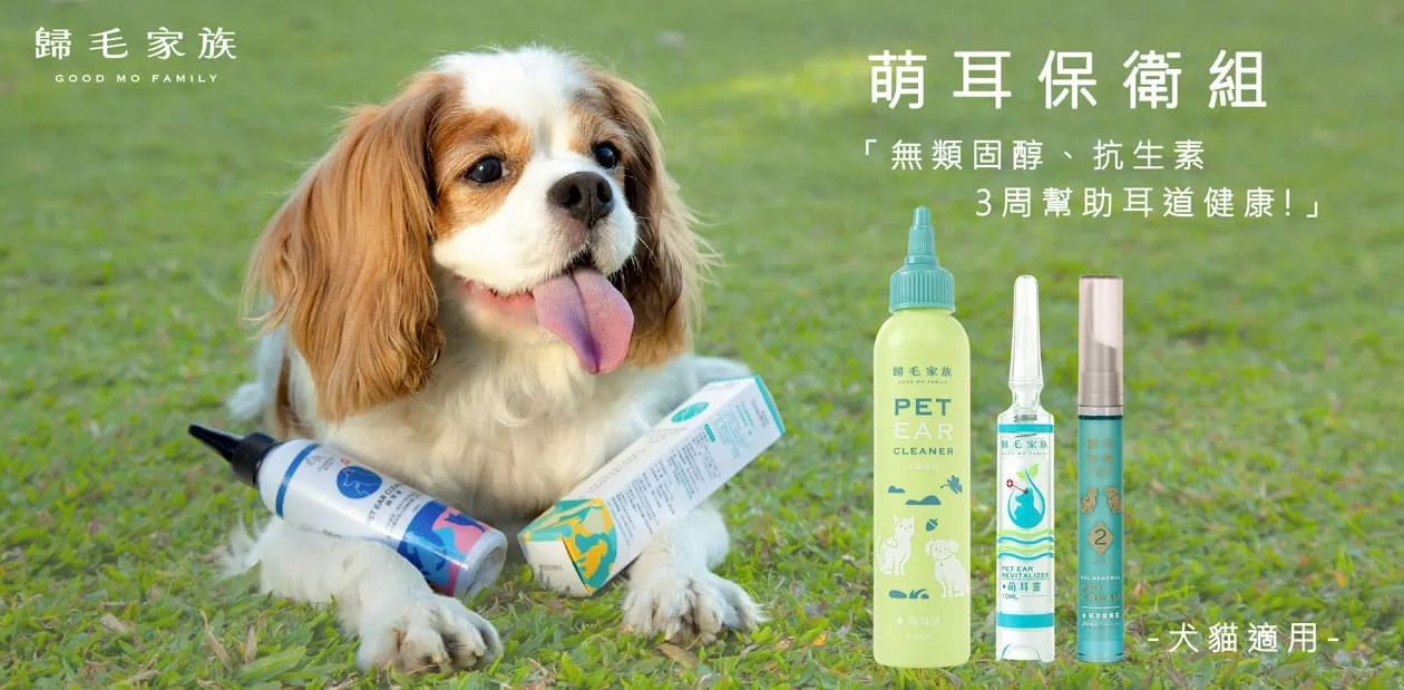 部落客行銷