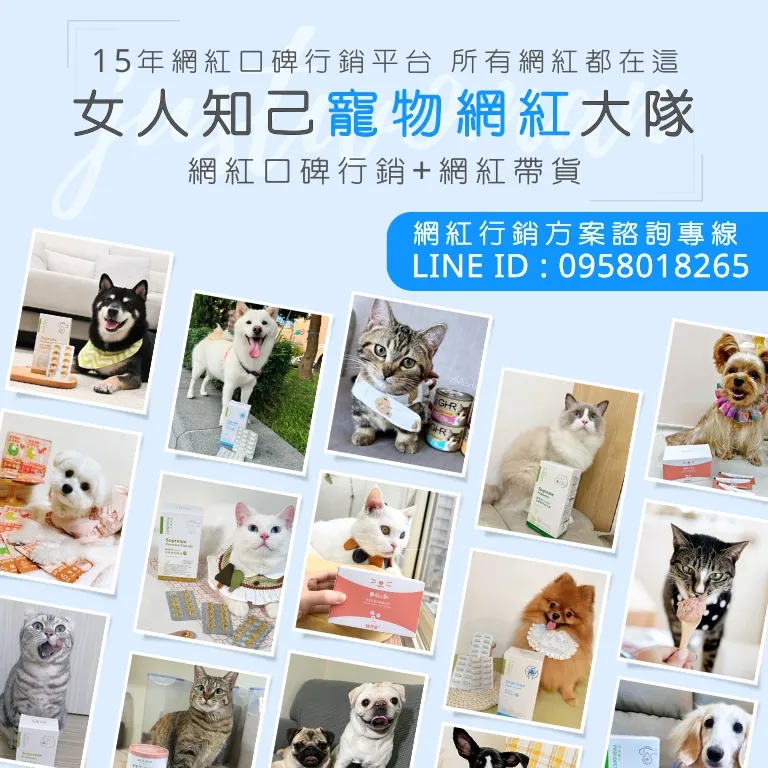 女人知己寵物網紅大隊(給廠商看)