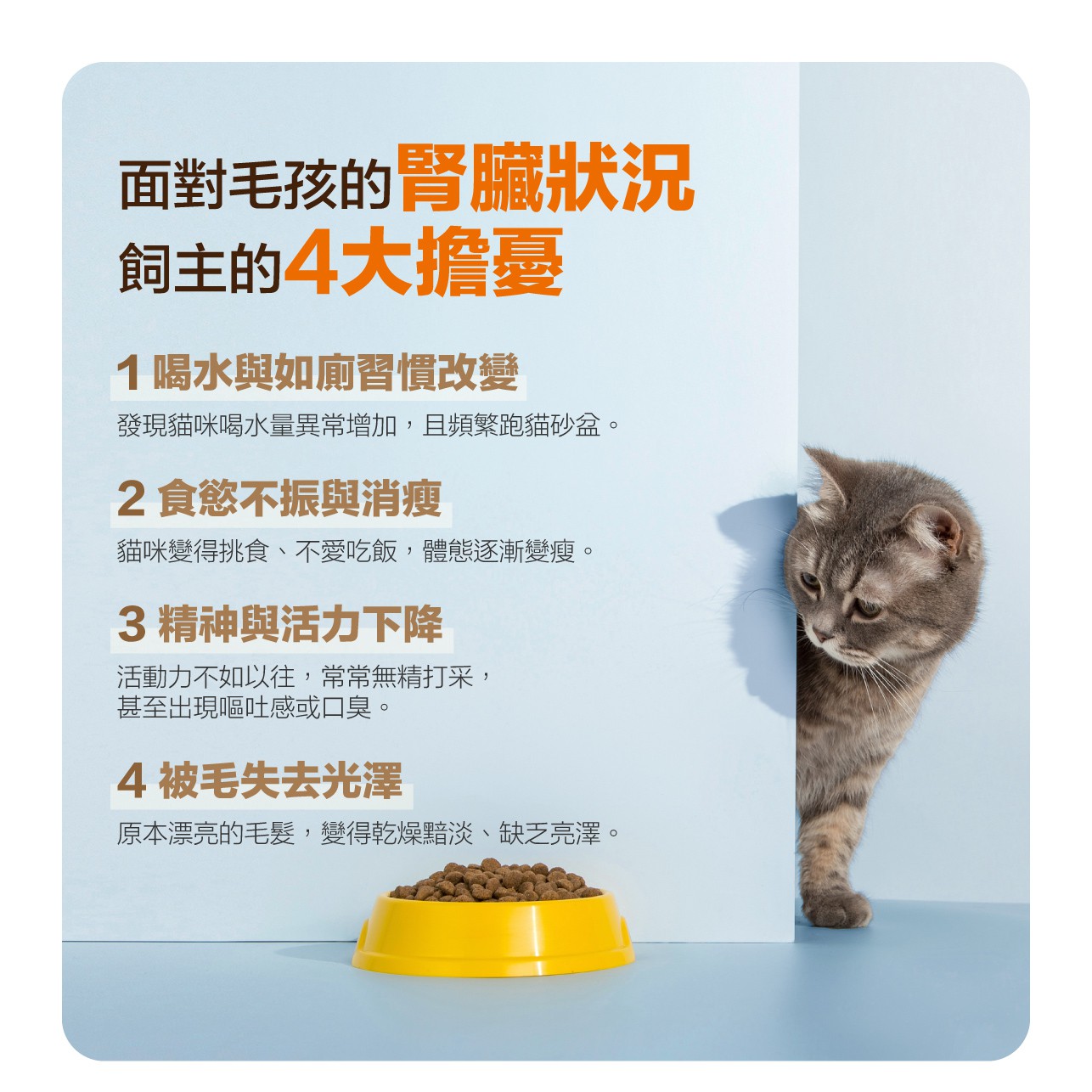 試用
